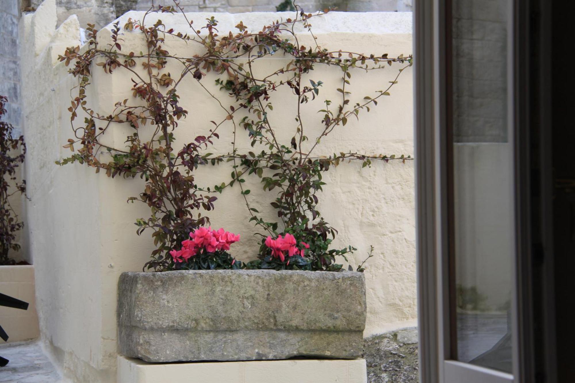 Alla Dimora Di Chiara Suite And Rooms Matera Rum bild